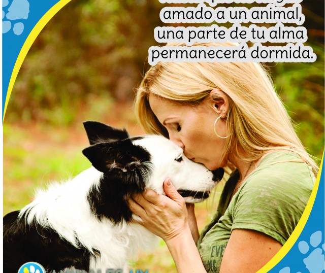 animales_7